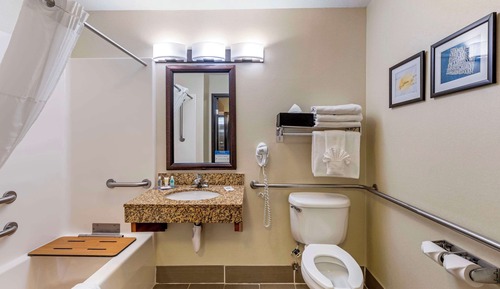 Suite, 1 King Bed, Accessible, Non Smoking