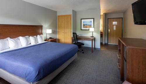 Standard Room, 1 King Bed
