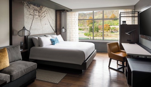 Room, 1 King Bed with Sofa bed, River View
