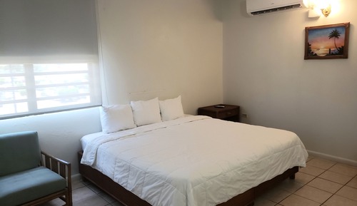 Room, 1 King Bed