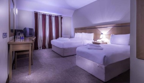 Single Room, 1 Twin Bed