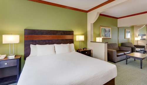 Suite, 1 King Bed with Sofa bed, Non Smoking