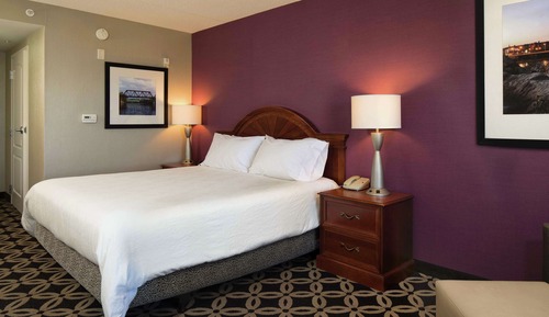 Room, 1 King Bed, Accessible, Bathtub (Hearing Impaired)