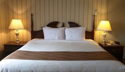 Room, 1 Queen Bed