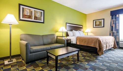 Standard Suite, 1 King Bed with Sofa bed, Non Smoking