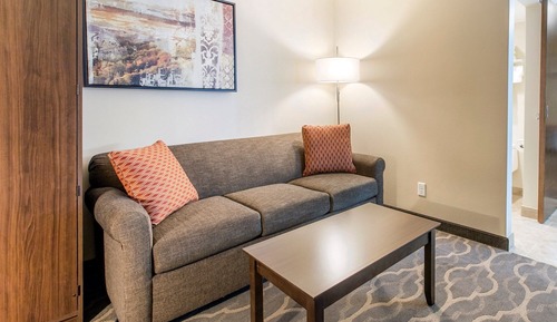 Studio Suite, 1 King Bed with Sofa bed, Non Smoking