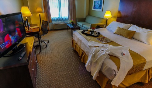 Standard Room, 1 King Bed with Sofa bed