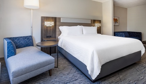 Suite, 1 King Bed