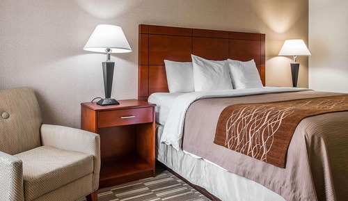 Standard Room, 1 King Bed, Accessible, Non Smoking
