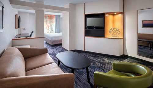 Executive Studio, 1 King Bed with Sofa bed, Non Smoking (Mobility Accessible, Roll-In Shower)