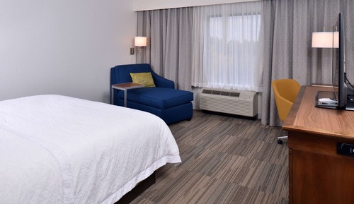 Room, 1 King Bed, Non Smoking, Refrigerator & Microwave