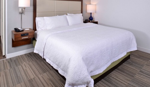 Studio, 1 King Bed, Accessible (Roll-In Shower)