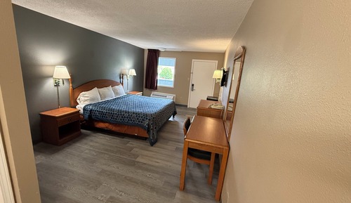 Room, 1 King Bed