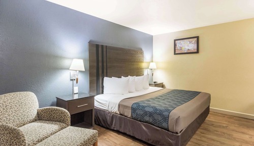 Standard Room, 1 King Bed, Refrigerator & Microwave