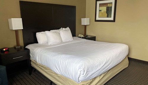 Standard Room, 1 King Bed, Non Smoking, Refrigerator & Microwave