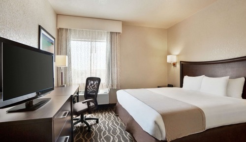 Standard Room, 1 King Bed, Non Smoking