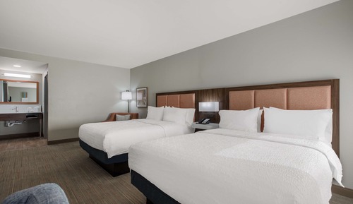 Suite One King Bed