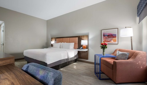 Room, 1 King Bed, Non Smoking