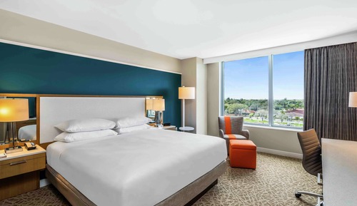 Room, 1 King Bed
