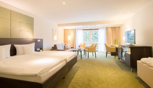 Superior Double Room