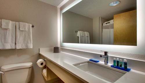 Suite, 1 King Bed, Accessible (Communications)