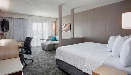 Room, 1 King Bed with Sofa bed