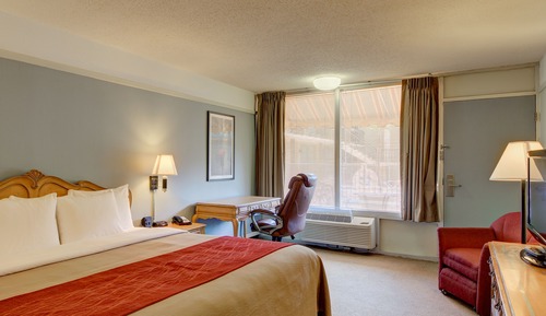 Standard Room, 1 King Bed, Non Smoking