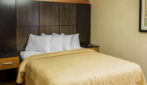 Standard Room, 1 King Bed, Non Smoking