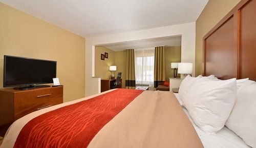 Suite, 1 King Bed with Sofa bed, Non Smoking