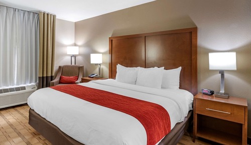 Standard Room, 1 King Bed, Non Smoking