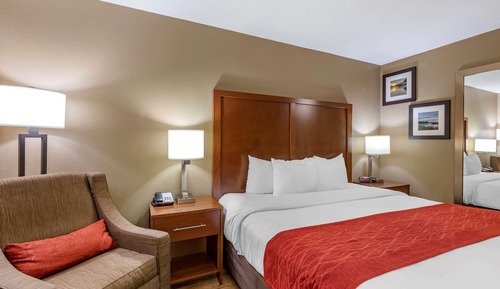 Room, 1 King Bed, Accessible, Non Smoking