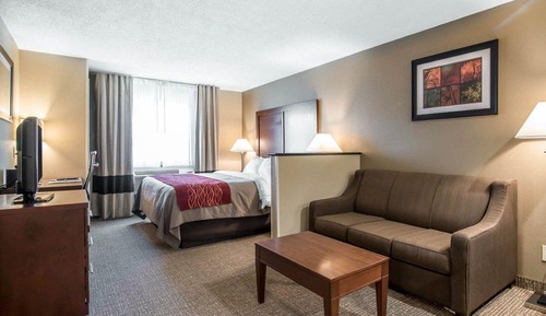 Standard Room, 1 King Bed, Non Smoking
