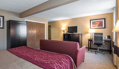 Standard Room, 1 King Bed with Sofa bed, Non Smoking