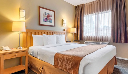 Room, 1 King Bed, Non Smoking (Efficiency)