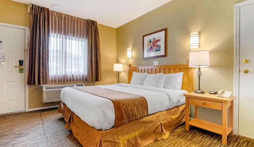 Room, 1 King Bed