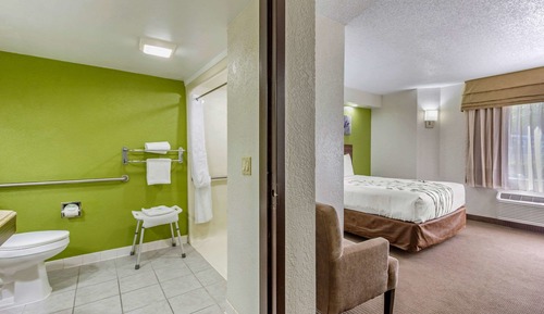 Room, 1 Double Bed, Accessible, Non Smoking