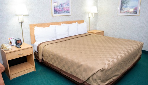 Superior Room, 1 King Bed, Non Smoking