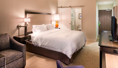 Room, 1 King Bed, Refrigerator