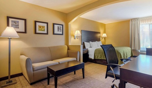Suite, 1 King Bed with Sofa bed
