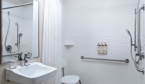 Studio Suite, 1 Queen Bed, Accessible (Roll-In Shower)