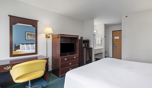 Deluxe Room, 1 King Bed, Non Smoking, Refrigerator & Microwave