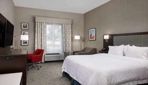 Room, 1 King Bed, Accessible