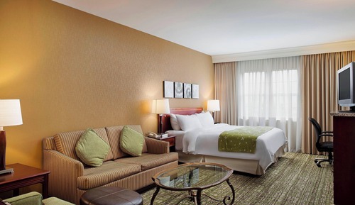 Room, 1 King Bed