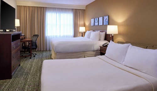 Suite, 1 King Bed with Sofa bed