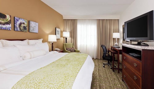 Room, 1 King Bed