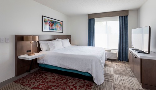 Room, 1 King Bed, Accessible (Roll-in Shower)