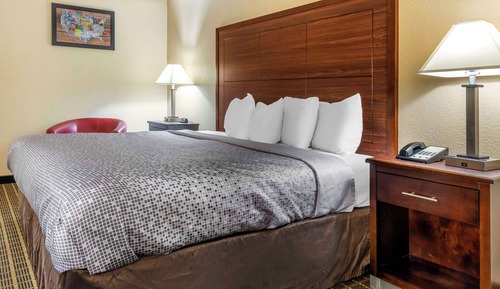 Room, 1 King Bed, Non Smoking