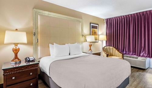 Room, 1 Queen Bed, Accessible, Non Smoking (Roll-In Shower)