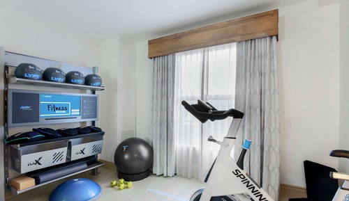 Room, 1 King Bed (Fitness Room with Spin Bike & Gymrax)