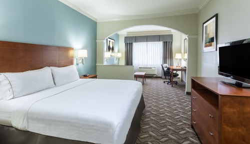 Suite, 1 King Bed with Sofa bed